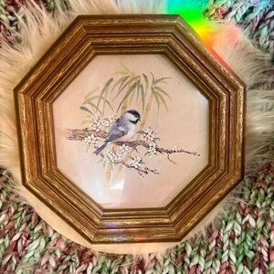 Homeco vintage Framed Bird Art
